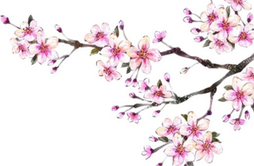 属牛女孩<a href=https://m.hmzw.com/html/yuyi.html target=_blank class=infotextkey>寓意</a>好的取名用字,有<a href=https://m.hmzw.com/html/shiyi.html target=_blank class=infotextkey>诗意</a>的女<a href=https://m.hmzw.com/html/baobao.html target=_blank class=infotextkey>宝宝</a><a href=https://m.hmzw.com/html/mingzi.html target=_blank class=infotextkey>名字</a>