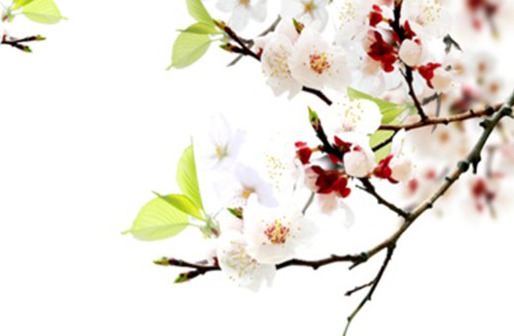 属牛女孩<a href=https://www.hmzw.com/html/mingzi.html target=_blank class=infotextkey>名字</a>大全,女<a href=https://www.hmzw.com/html/baobao.html target=_blank class=infotextkey>宝宝</a>最吉祥的<a href=https://www.hmzw.com/html/mingzi.html target=_blank class=infotextkey>名字</a>