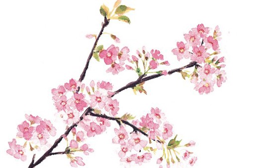 广告公司一般叫什么<a href=https://www.hmzw.com/html/mingzi.html target=_blank class=infotextkey>名字</a>,公司起名热门字
