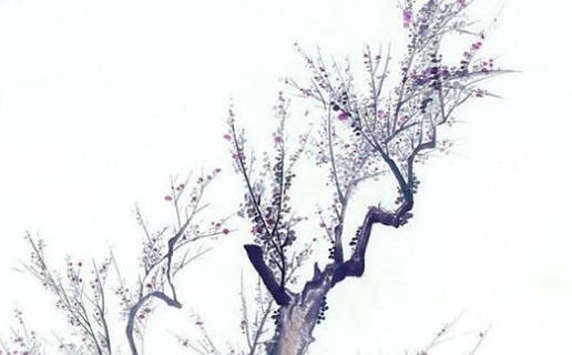 带蝶字的唯美女孩<a href=https://www.hmzw.com/html/mingzi.html target=_blank class=infotextkey>名字</a>,蝶字起名女孩全集
