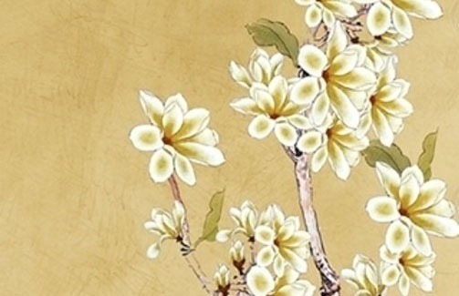 海量二字好名:文化传媒公司起名<a href=https://www.hmzw.com/html/mingzi.html target=_blank class=infotextkey>名字</a><a href=https://www.hmzw.com/html/tuijian.html target=_blank class=infotextkey>推荐</a>