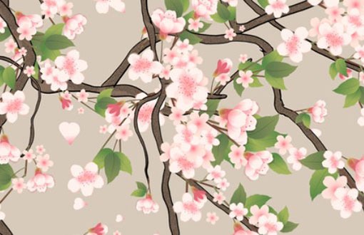 申请店铺<a href=https://www.hmzw.com/html/mingzi.html target=_blank class=infotextkey>名字</a>专利 怎么申请专利