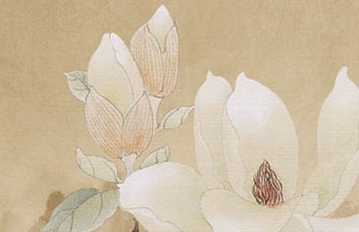 <a href=https://www.hmzw.com/html/wuxing.html target=_blank class=infotextkey>五行</a>属火怎么取店铺<a href=https://www.hmzw.com/html/mingzi.html target=_blank class=infotextkey>名字</a> 店铺起名<a href=https://www.hmzw.com/html/wuxing.html target=_blank class=infotextkey>五行</a>好字单字<a href=https://www.hmzw.com/html/tuijian.html target=_blank class=infotextkey>推荐</a>