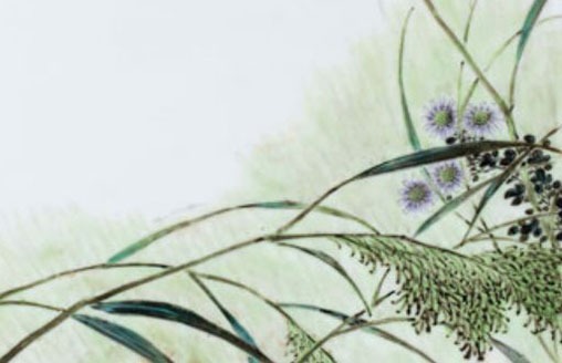 好听的英语培训机构<a href=https://m.hmzw.com/html/mingzi.html target=_blank class=infotextkey>名字</a>大全 旺财补习班<a href=https://m.hmzw.com/html/mingzi.html target=_blank class=infotextkey>名字</a>