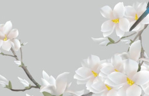 音乐教育培训机构<a href=https://www.hmzw.com/html/mingzi.html target=_blank class=infotextkey>名字</a>大全 时尚<a href=https://www.hmzw.com/html/xinying.html target=_blank class=infotextkey>新颖</a>的补习班名称