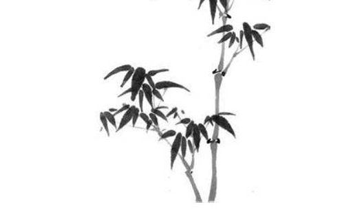男孩取名带程字的<a href=https://www.hmzw.com/html/yuyi.html target=_blank class=infotextkey>寓意</a>,程字有<a href=https://www.hmzw.com/html/hanyang.html target=_blank class=infotextkey>涵养</a><a href=https://www.hmzw.com/html/mingzi.html target=_blank class=infotextkey>名字</a>赏析
