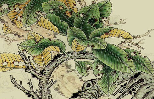 我想给自己的公司取个<a href=https://www.hmzw.com/html/mingzi.html target=_blank class=infotextkey>名字</a> 旺财的企业好<a href=https://www.hmzw.com/html/mingzi.html target=_blank class=infotextkey>名字</a>