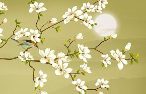 取个家政公司吉祥旺财的<a href=https://www.hmzw.com/html/mingzi.html target=_blank class=infotextkey>名字</a> 最新版企业好名