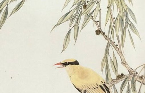 房地产公司起<a href=https://www.hmzw.com/html/mingzi.html target=_blank class=infotextkey>名字</a>大全<a href=https://www.hmzw.com/html/mianfei.html target=_blank class=infotextkey>免费</a> <a href=https://www.hmzw.com/html/yangqi.html target=_blank class=infotextkey>洋气</a><a href=https://www.hmzw.com/html/xinying.html target=_blank class=infotextkey>新颖</a>企好名