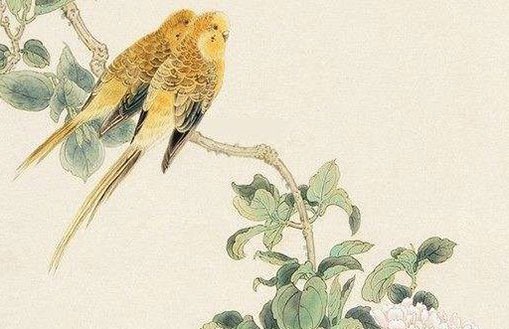 想开个店起什么<a href=https://www.hmzw.com/html/mingzi.html target=_blank class=infotextkey>名字</a>好 <a href=https://www.hmzw.com/html/qingya.html target=_blank class=infotextkey>清雅</a>秀美店铺好名