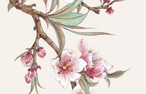 房地产公司起什么<a href=https://www.hmzw.com/html/mingzi.html target=_blank class=infotextkey>名字</a>好 招财好记的企业好名