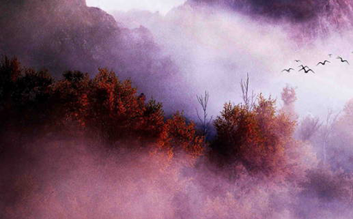 适合注册公司的名字大全 好听企业名怎么起