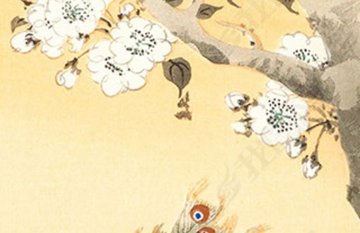 辅导机构起什么<a href=https://www.hmzw.com/html/mingzi.html target=_blank class=infotextkey>名字</a>好 文雅的教育公司<a href=https://www.hmzw.com/html/mingzi.html target=_blank class=infotextkey>名字</a>