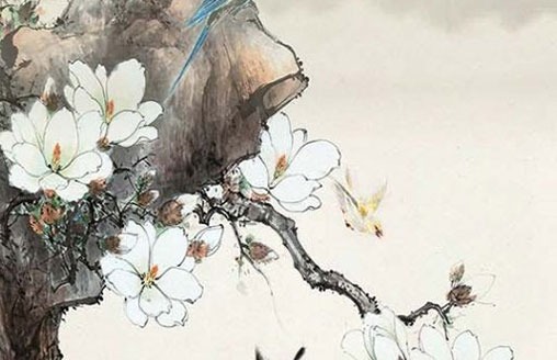 托育叫什么<a href=https://m.hmzw.com/html/mingzi.html target=_blank class=infotextkey>名字</a>好 公司吉祥招财好名<a href=https://m.hmzw.com/html/tuijian.html target=_blank class=infotextkey>推荐</a>