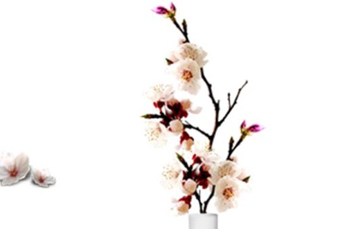 设计工作室取什么<a href=https://www.hmzw.com/html/mingzi.html target=_blank class=infotextkey>名字</a>好 <a href=https://www.hmzw.com/html/dute.html target=_blank class=infotextkey>独特</a><a href=https://www.hmzw.com/html/jiandan.html target=_blank class=infotextkey>简单</a>新公司<a href=https://www.hmzw.com/html/mingzi.html target=_blank class=infotextkey>名字</a>