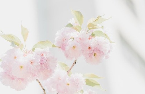 装修公司名称怎么取好 <a href=https://www.hmzw.com/html/yuyi.html target=_blank class=infotextkey>寓意</a>好的装修公司<a href=https://www.hmzw.com/html/mingzi.html target=_blank class=infotextkey>名字</a>