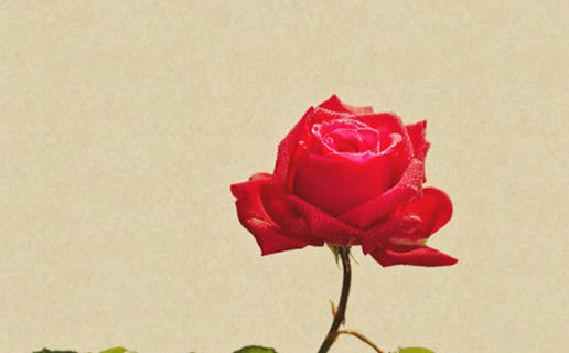 建材公司起名大全好听有<a href=https://www.hmzw.com/html/yuyi.html target=_blank class=infotextkey>寓意</a> 建筑企业好名适用字