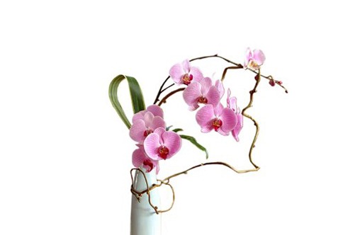 服装公司取<a href=https://www.hmzw.com/html/mingzi.html target=_blank class=infotextkey>名字</a>大全<a href=https://www.hmzw.com/html/mianfei.html target=_blank class=infotextkey>免费</a> <a href=https://www.hmzw.com/html/jili.html target=_blank class=infotextkey>吉利</a>好听服饰公司<a href=https://www.hmzw.com/html/mingzi.html target=_blank class=infotextkey>名字</a>