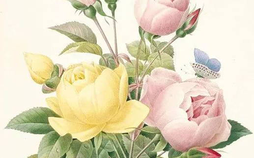 好听的美容工作室<a href=https://www.hmzw.com/html/mingzi.html target=_blank class=infotextkey>名字</a>大全 热门<a href=https://www.hmzw.com/html/yuyi.html target=_blank class=infotextkey>寓意</a>佳公司名<a href=https://www.hmzw.com/html/tuijian.html target=_blank class=infotextkey>推荐</a>