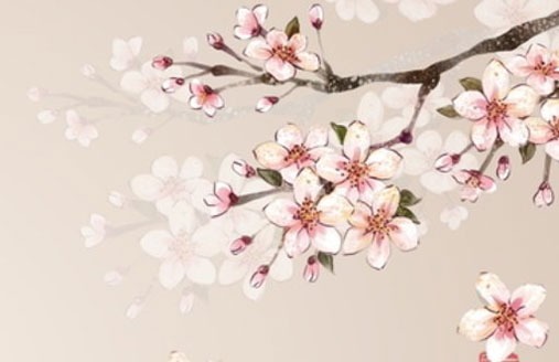 好听的英文公司名全称 简洁大气的企业<a href=https://www.hmzw.com/html/mingzi.html target=_blank class=infotextkey>名字</a>