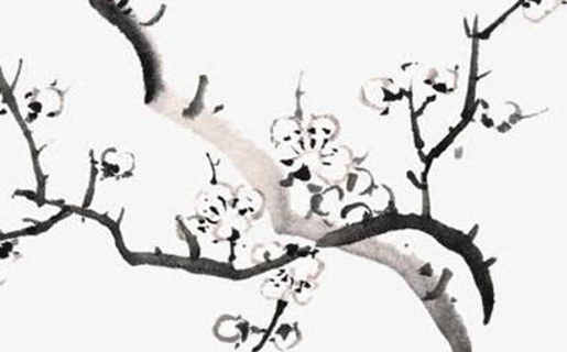 美容<a href=https://www.hmzw.com/html/mingzi.html target=_blank class=infotextkey>名字</a>要叫什么好听 公司起名有设计感名称
