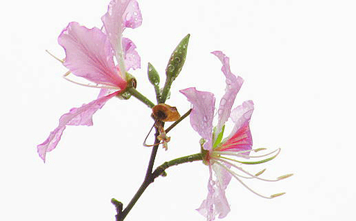 美容院取<a href=https://m.hmzw.com/html/mingzi.html target=_blank class=infotextkey>名字</a>大全 美容公司美名分享