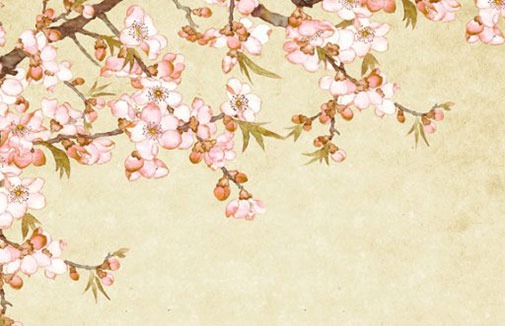 服装店名取什么<a href=https://www.hmzw.com/html/mingzi.html target=_blank class=infotextkey>名字</a>好 店铺起名<a href=https://www.hmzw.com/html/xinying.html target=_blank class=infotextkey>新颖</a>带<a href=https://www.hmzw.com/html/caiyun.html target=_blank class=infotextkey>财运</a>