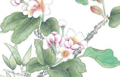 农业发展有限公司起名 精选好听<a href=https://www.hmzw.com/html/yangqi.html target=_blank class=infotextkey>洋气</a>的企业取名