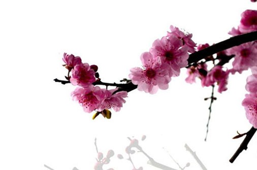 注册挖机公司怎么取名 新公司有品牌的大气名称