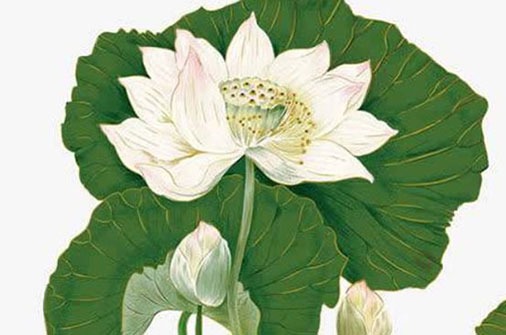 机械租赁公司注册什么名称比较好 有<a href=https://www.hmzw.com/html/shiyi.html target=_blank class=infotextkey>诗意</a>的企业取名大全