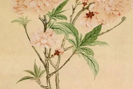 注册农业公司用什么<a href=https://www.hmzw.com/html/mingzi.html target=_blank class=infotextkey>名字</a>好 常用招财企业取名大全