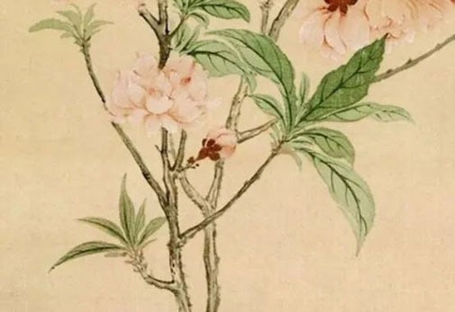 卖农产品取个什么<a href=https://www.hmzw.com/html/mingzi.html target=_blank class=infotextkey>名字</a> 新公司起名<a href=https://www.hmzw.com/html/shunkou.html target=_blank class=infotextkey>顺口</a>招财
