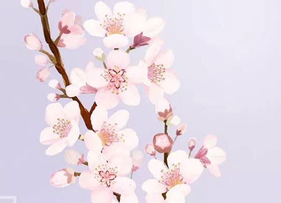 2019年12月20号出生的女孩起什么<a href=https://www.hmzw.com/html/mingzi.html target=_blank class=infotextkey>名字</a>气质好听