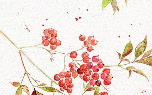 好运气顺利发财<a href=https://www.hmzw.com/html/mingzi.html target=_blank class=infotextkey>名字</a> 公司起旺运<a href=https://www.hmzw.com/html/shunkou.html target=_blank class=infotextkey>顺口</a>的<a href=https://www.hmzw.com/html/mingzi.html target=_blank class=infotextkey>名字</a>