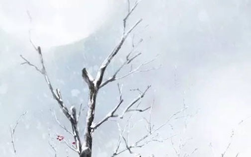 74年属虎的公司起名 旺运<a href=https://m.hmzw.com/html/shunkou.html target=_blank class=infotextkey>顺口</a>的企业取名