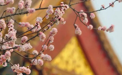 比较特殊的公司<a href=https://www.hmzw.com/html/mingzi.html target=_blank class=infotextkey>名字</a> 企业取有<a href=https://www.hmzw.com/html/yuyi.html target=_blank class=infotextkey>寓意</a>的好名称