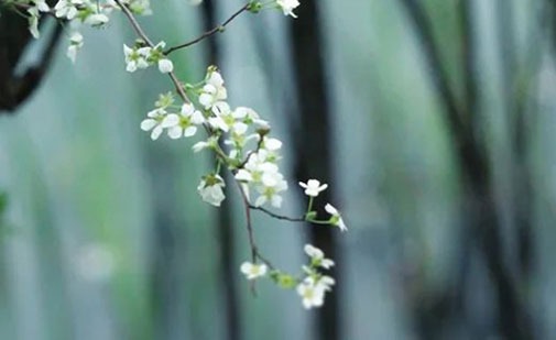2022年霸气一点的公司<a href=https://www.hmzw.com/html/mingzi.html target=_blank class=infotextkey>名字</a> 精选企业取名常用字