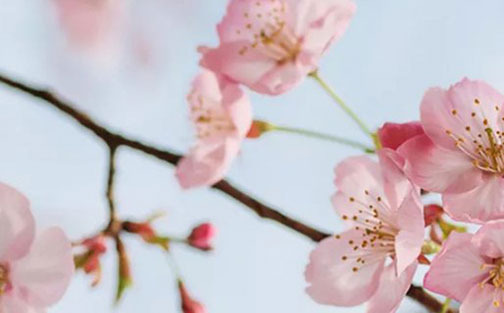 好记的水产公司名称 经典吉祥水产公司名<a href=https://www.hmzw.com/html/tuijian.html target=_blank class=infotextkey>推荐</a>