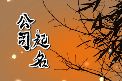 公告传媒公司<a href=https://m.hmzw.com/html/mingzi.html target=_blank class=infotextkey>名字</a>大全 高级<a href=https://m.hmzw.com/html/yangqi.html target=_blank class=infotextkey>洋气</a>的企业取名