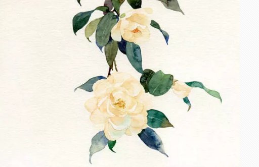 2020年12月27号十一月十三出生的女孩是什么命,起什么<a href=https://www.hmzw.com/html/mingzi.html target=_blank class=infotextkey>名字</a>好
