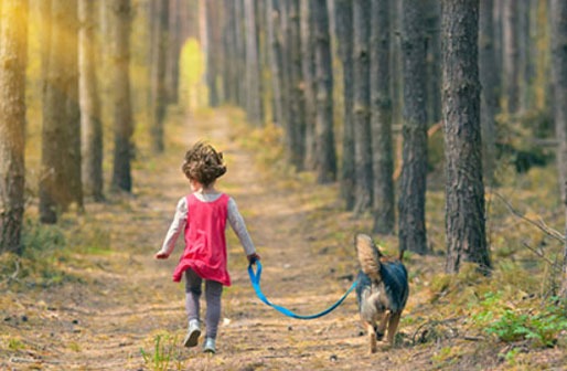 属虎五行缺水的女孩名字 2022年最佳女宝宝取名宜用字