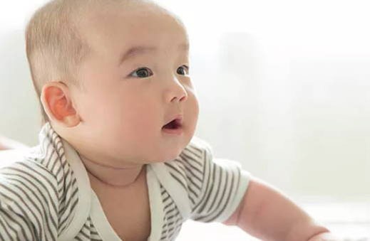 2023年属兔男孩<a href=https://www.hmzw.com/html/mingzi.html target=_blank class=infotextkey>名字</a> 属兔的男<a href=https://www.hmzw.com/html/baobao.html target=_blank class=infotextkey>宝宝</a>取什么<a href=https://www.hmzw.com/html/mingzi.html target=_blank class=infotextkey>名字</a>好
