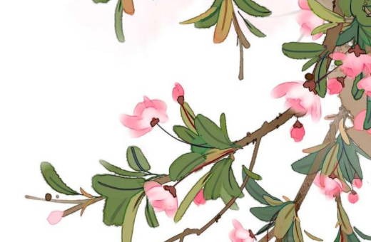 注册店面怎么取名字 高端洋气商铺名称