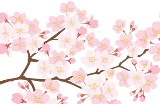 蔬菜水果店名称 <a href=https://www.hmzw.com/html/yangqi.html target=_blank class=infotextkey>洋气</a>好听生鲜旺铺起名