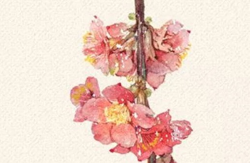 独特的商贸公司名字大全 招财的企业名称推荐