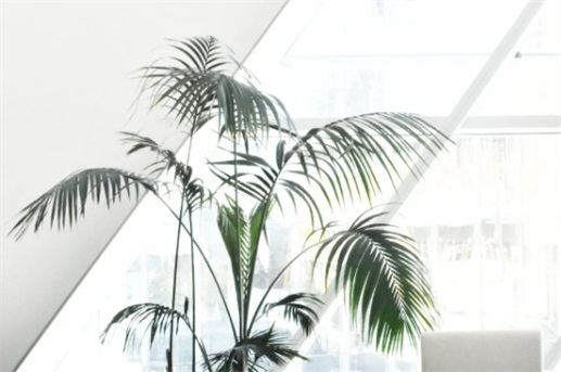 如何给公司取<a href=https://www.hmzw.com/html/mingzi.html target=_blank class=infotextkey>名字</a>大全  好听高雅又聚财的公司<a href=https://www.hmzw.com/html/mingzi.html target=_blank class=infotextkey>名字</a>