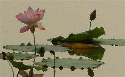 好听的童鞋店名字大全 最新最潮的童鞋店名字