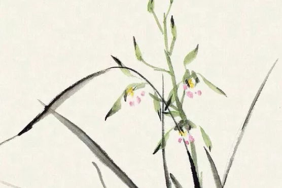 2020年5月1号出生的女孩起什么<a href=https://m.hmzw.com/html/mingzi.html target=_blank class=infotextkey>名字</a>好，鼠<a href=https://m.hmzw.com/html/baobao.html target=_blank class=infotextkey>宝宝</a>取名宜用字