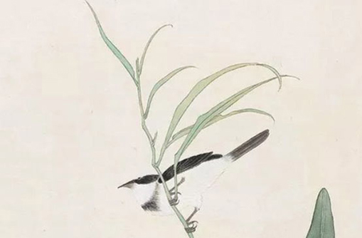 2021年1月27日出生的<a href=https://www.hmzw.com/html/baobao.html target=_blank class=infotextkey>宝宝</a>命好不好,腊月十五的<a href=https://www.hmzw.com/html/haizi.html target=_blank class=infotextkey>孩子</a><a href=https://www.hmzw.com/html/bazi.html target=_blank class=infotextkey>八字</a>起<a href=https://www.hmzw.com/html/mingzi.html target=_blank class=infotextkey>名字</a>