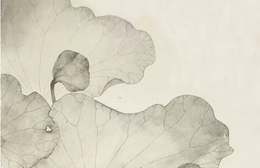 2020年7月14号五月二十四出生的女孩是什么命，如何起<a href=https://www.hmzw.com/html/mingzi.html target=_blank class=infotextkey>名字</a>